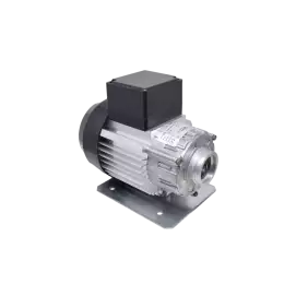 RPM rotatiepomp motor 300W 220/240V 50Hz