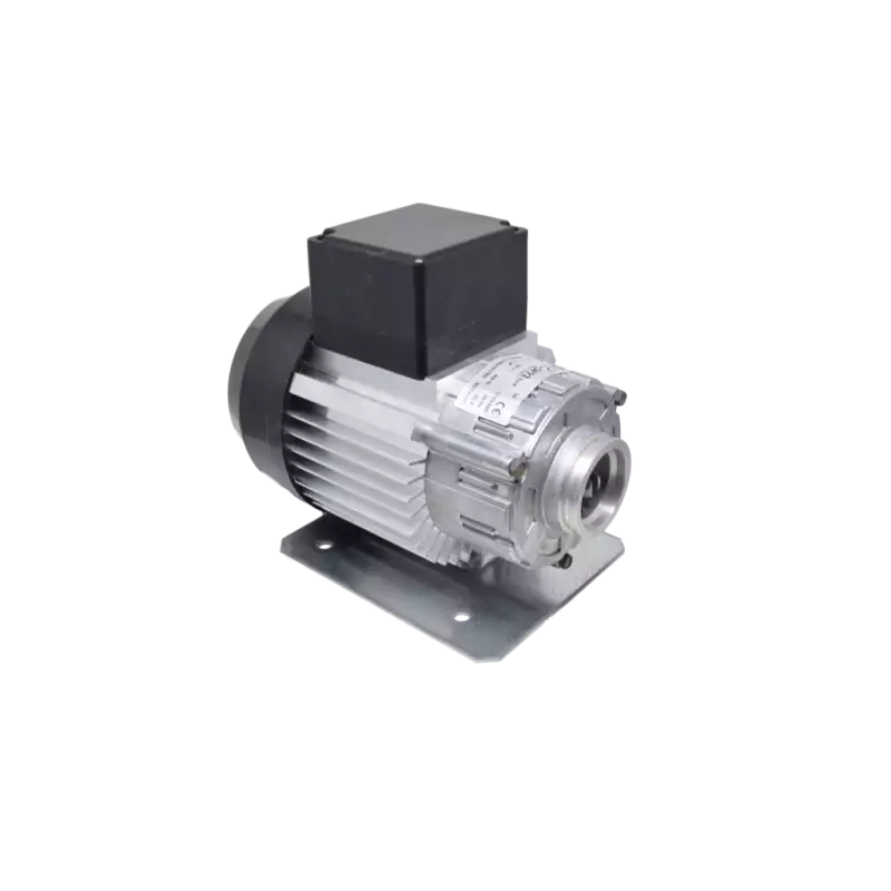 RPM rotatiepomp motor 300W 220/240V 50Hz