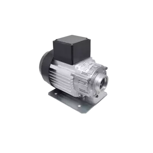 RPM rotatiepomp motor 300W 220/240V 50Hz