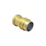 Groeps zuiger cylinder