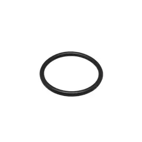 O ring 74.6x5.9mm