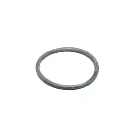 Gaggia O ring 47,63x3,53mm